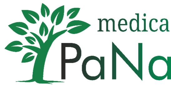 PaNa Demo